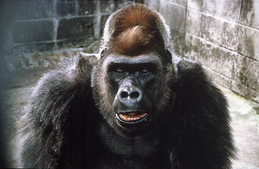 �S�����������z���}�B